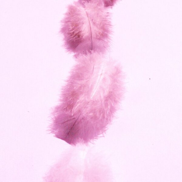 Gorras delicadas Gorras delicadas